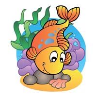 Gold fish swimming