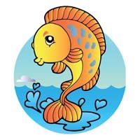 Gold fish
