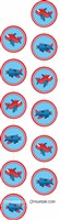 Aeroplane theme Disc Danglers