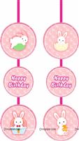 Bunny theme danglers 