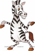 Zebra poster