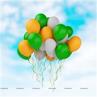 Solid Color Balloons - Republic / Independence Day