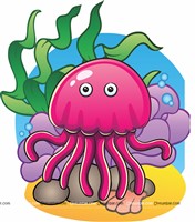 Jelly fish