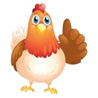 Chicken cutout