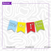 1st BIrthday Photo Bunting Kit