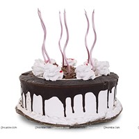 Pink Curly Candles 