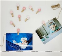 Flower Wooden Clip