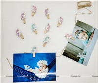 Unicorn Wooden Clip