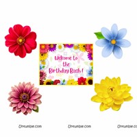 Flower Theme Paperfan Decorations Kit, Pack of 56